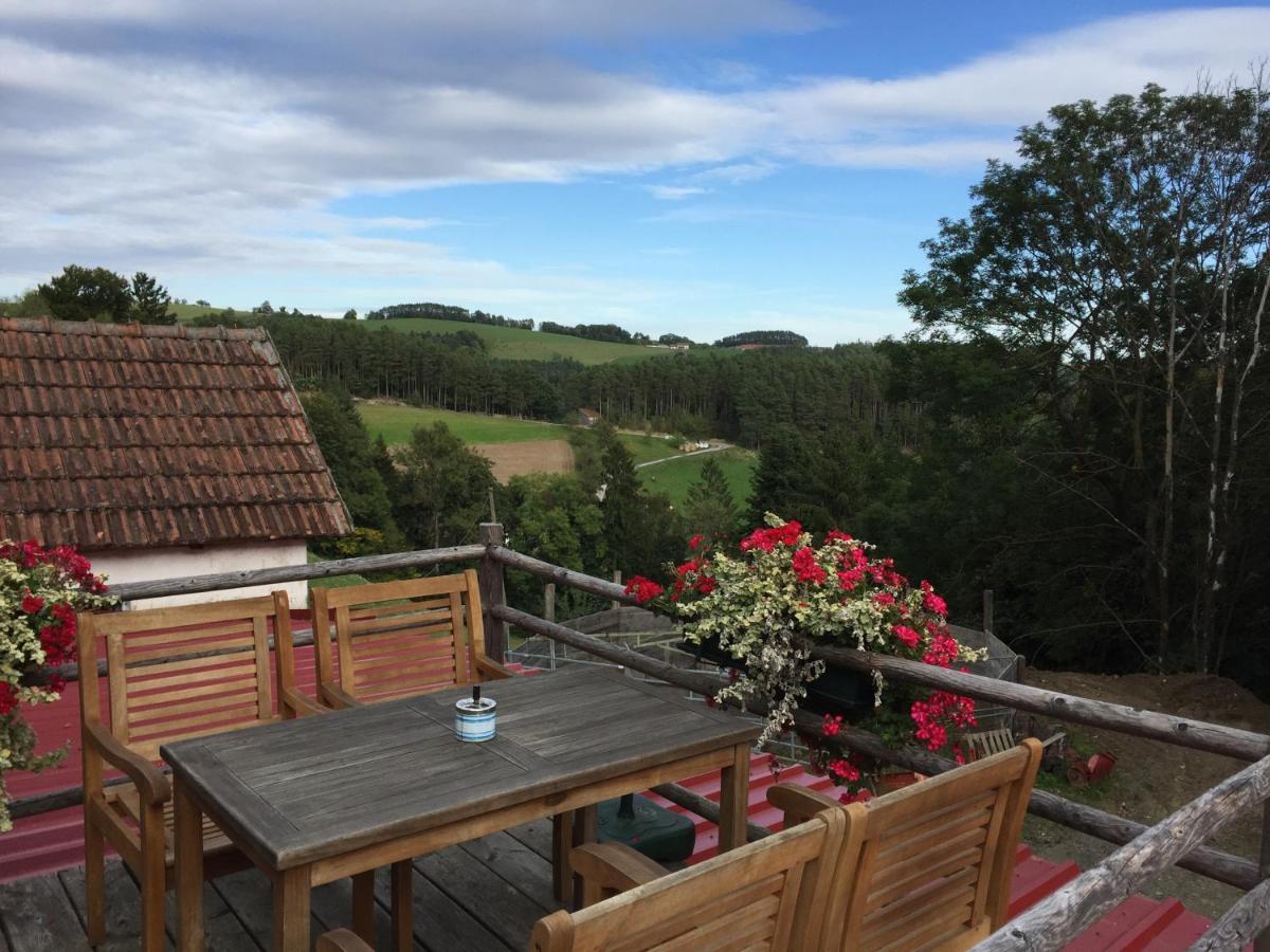 Haflingerhof Luef Villa Bad Schönau Buitenkant foto