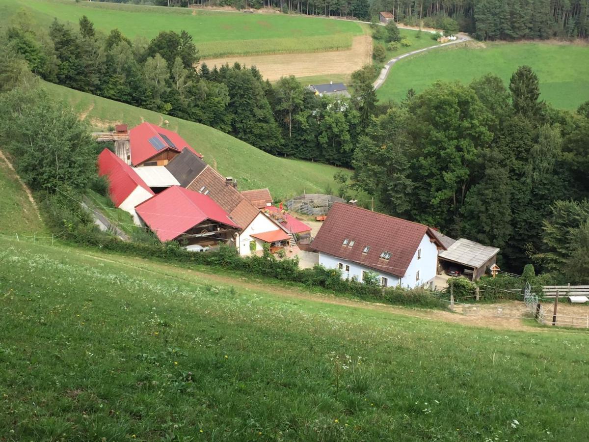 Haflingerhof Luef Villa Bad Schönau Buitenkant foto
