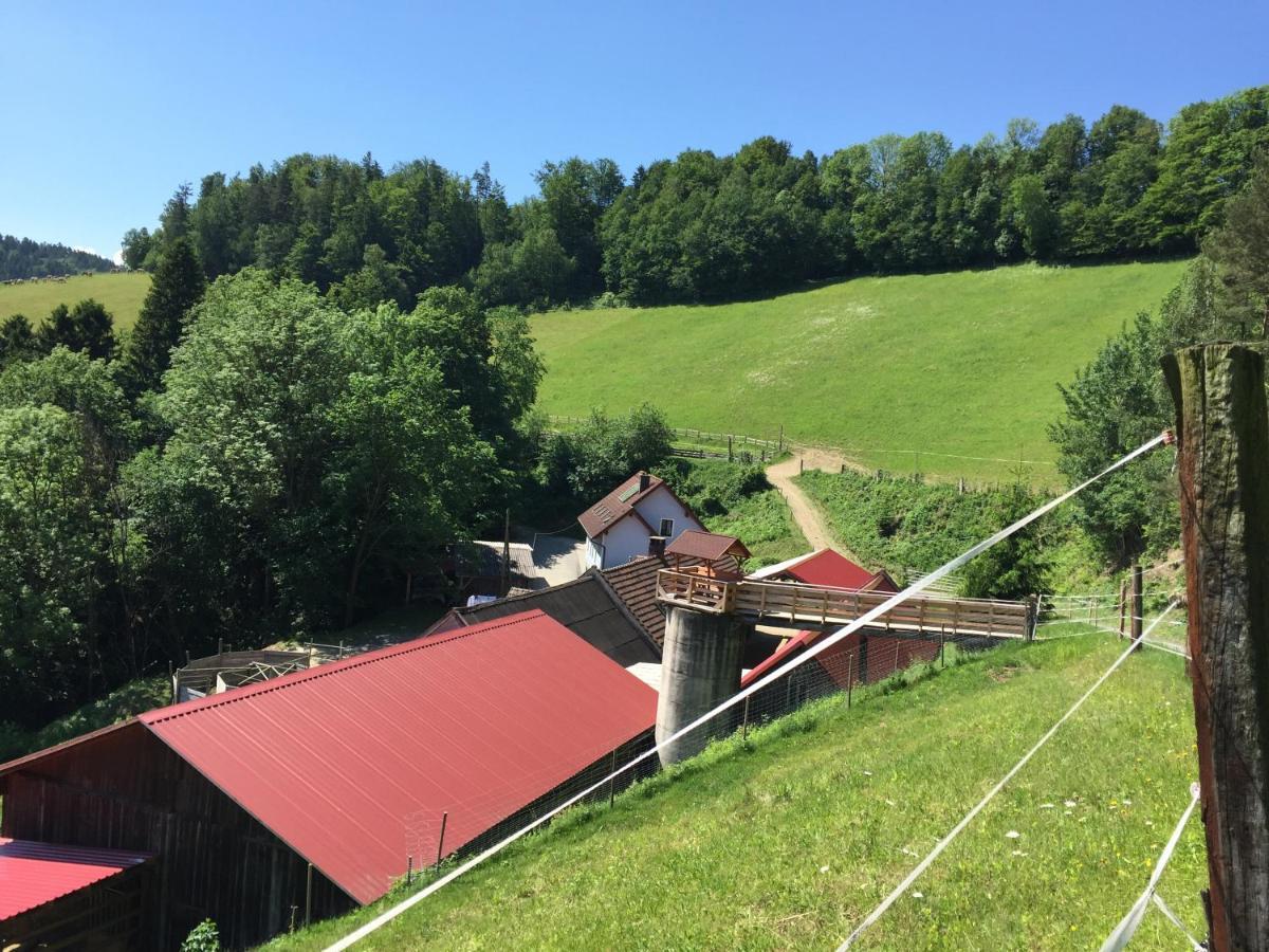 Haflingerhof Luef Villa Bad Schönau Buitenkant foto