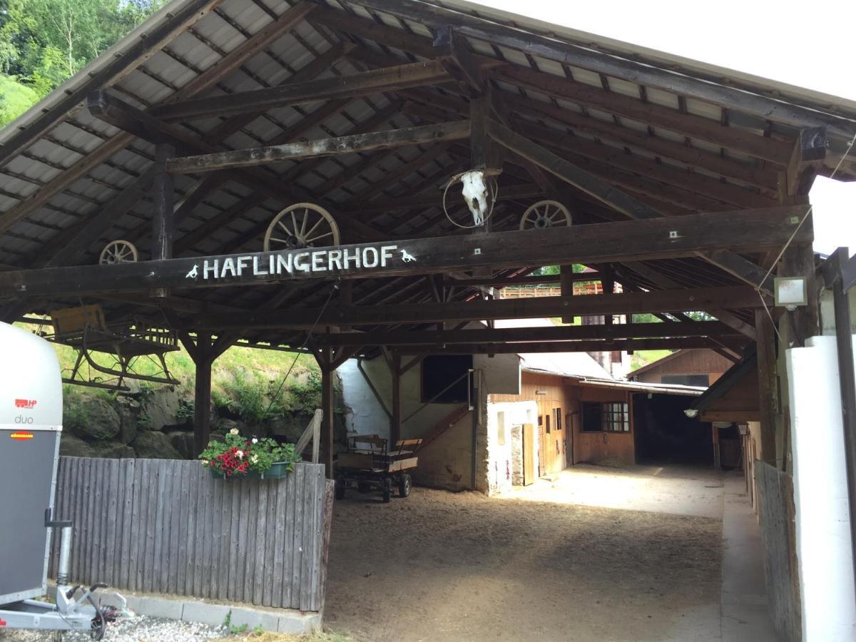 Haflingerhof Luef Villa Bad Schönau Buitenkant foto
