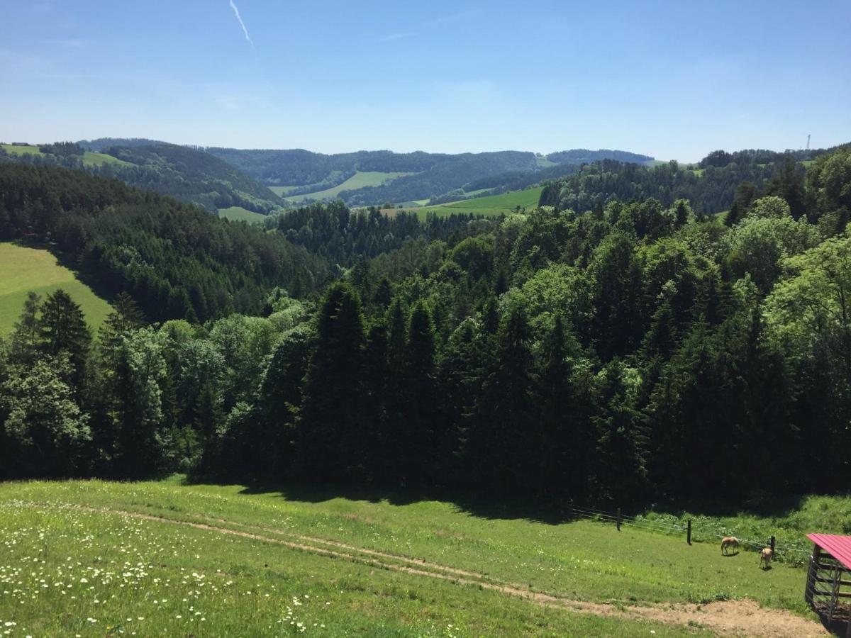 Haflingerhof Luef Villa Bad Schönau Buitenkant foto