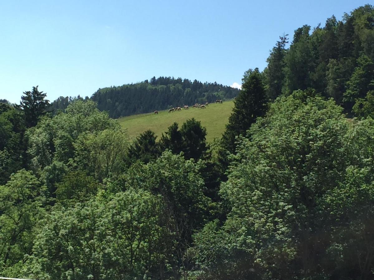 Haflingerhof Luef Villa Bad Schönau Buitenkant foto